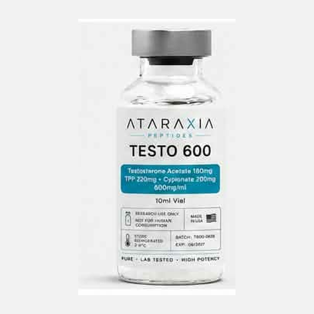 TESTO 600